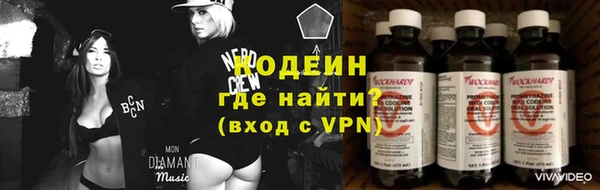 СК Волосово