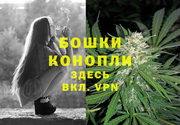 СК Волосово