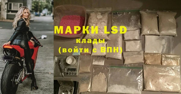 СК Волосово