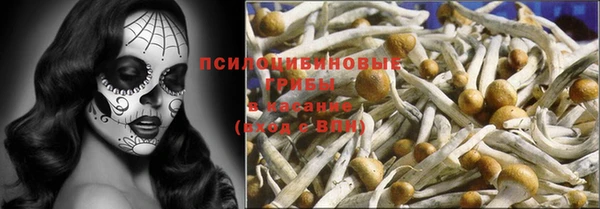 СК Волосово