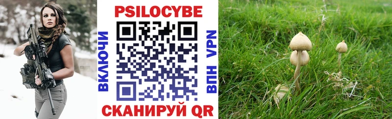Галлюциногенные грибы мицелий где купить Игра